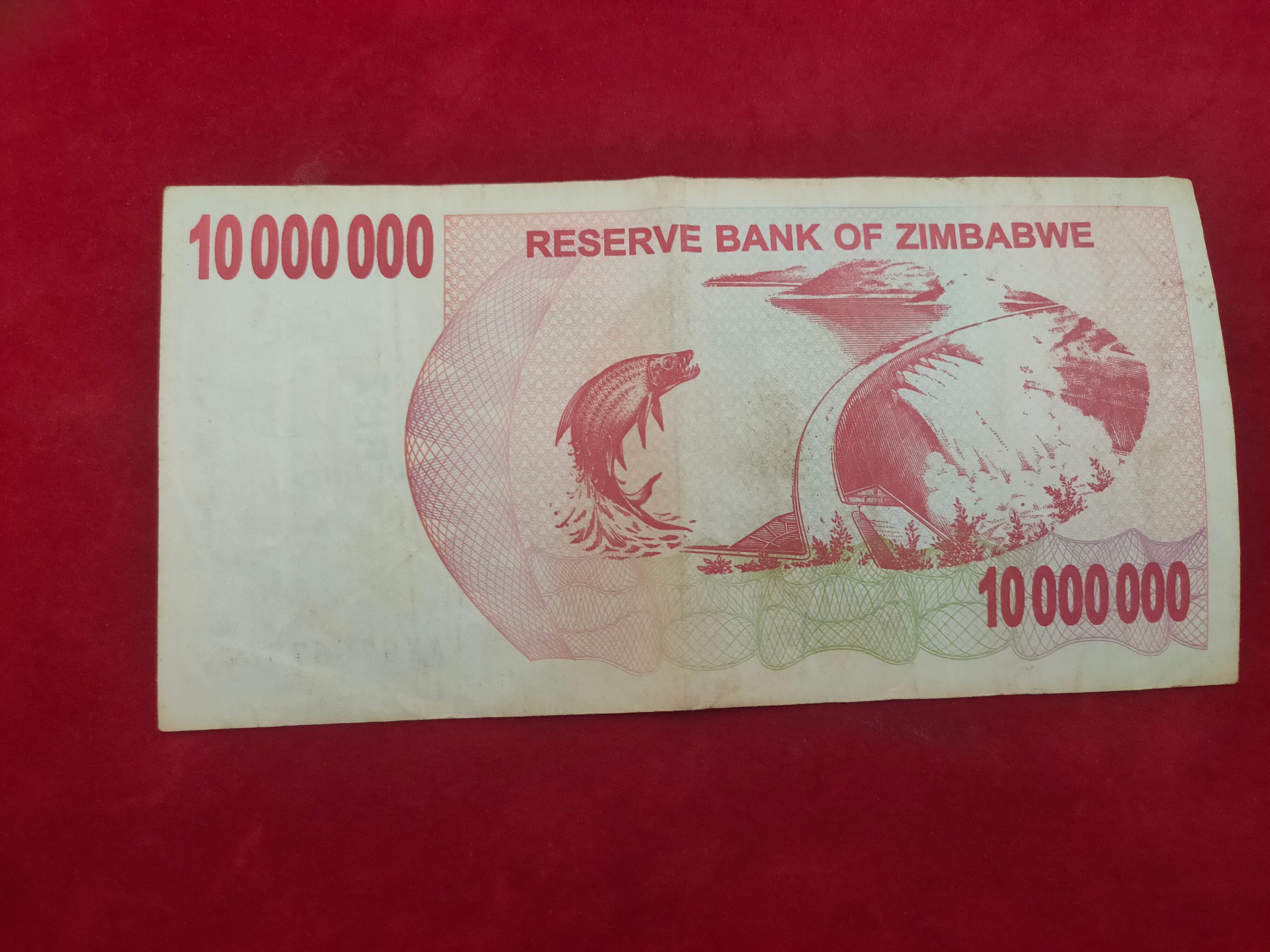 RESERVE BANK OF ZIMBABWE 10 000 000 (D708)