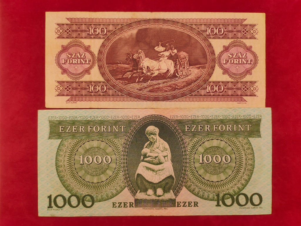 NATIONAL BANK OF HUNGARY 100,1000 FORINT (C678)