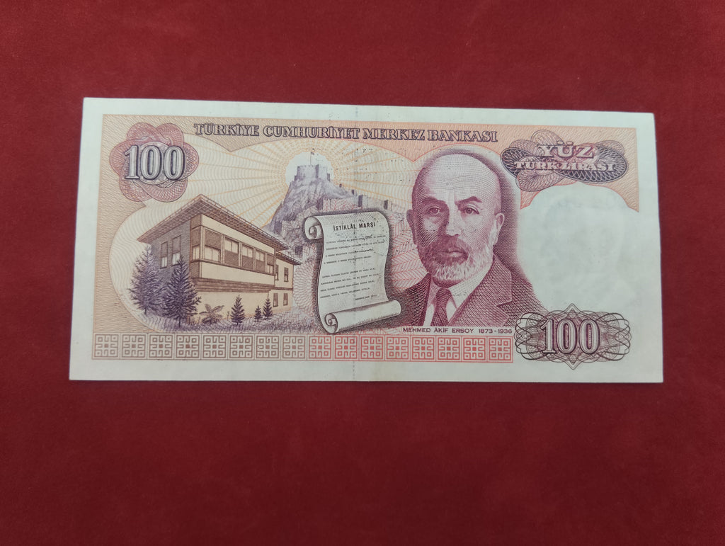 CENTRAL BANK OF TURKEY 100 LIRA (D611)&nbsp;