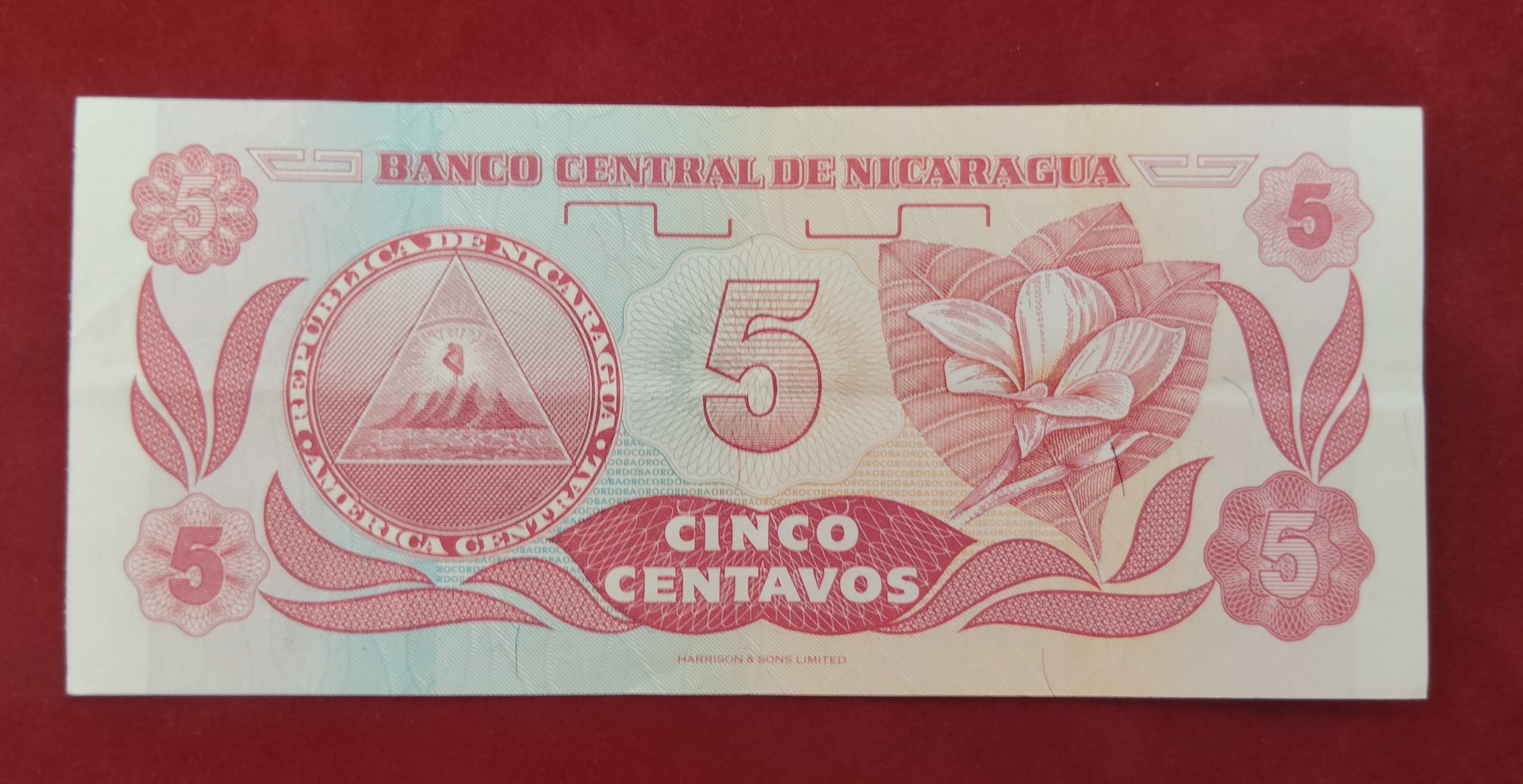 CENTRAL BANK OF NICARAGUA 5 CENTAVOS (D698)