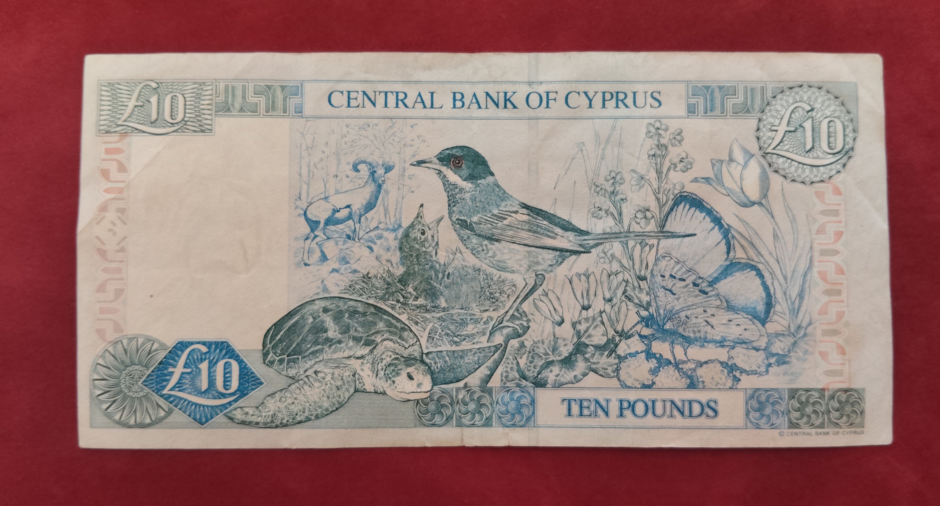 CENTRAL BANK OF CYPRUS 10 POUNDS (C302)