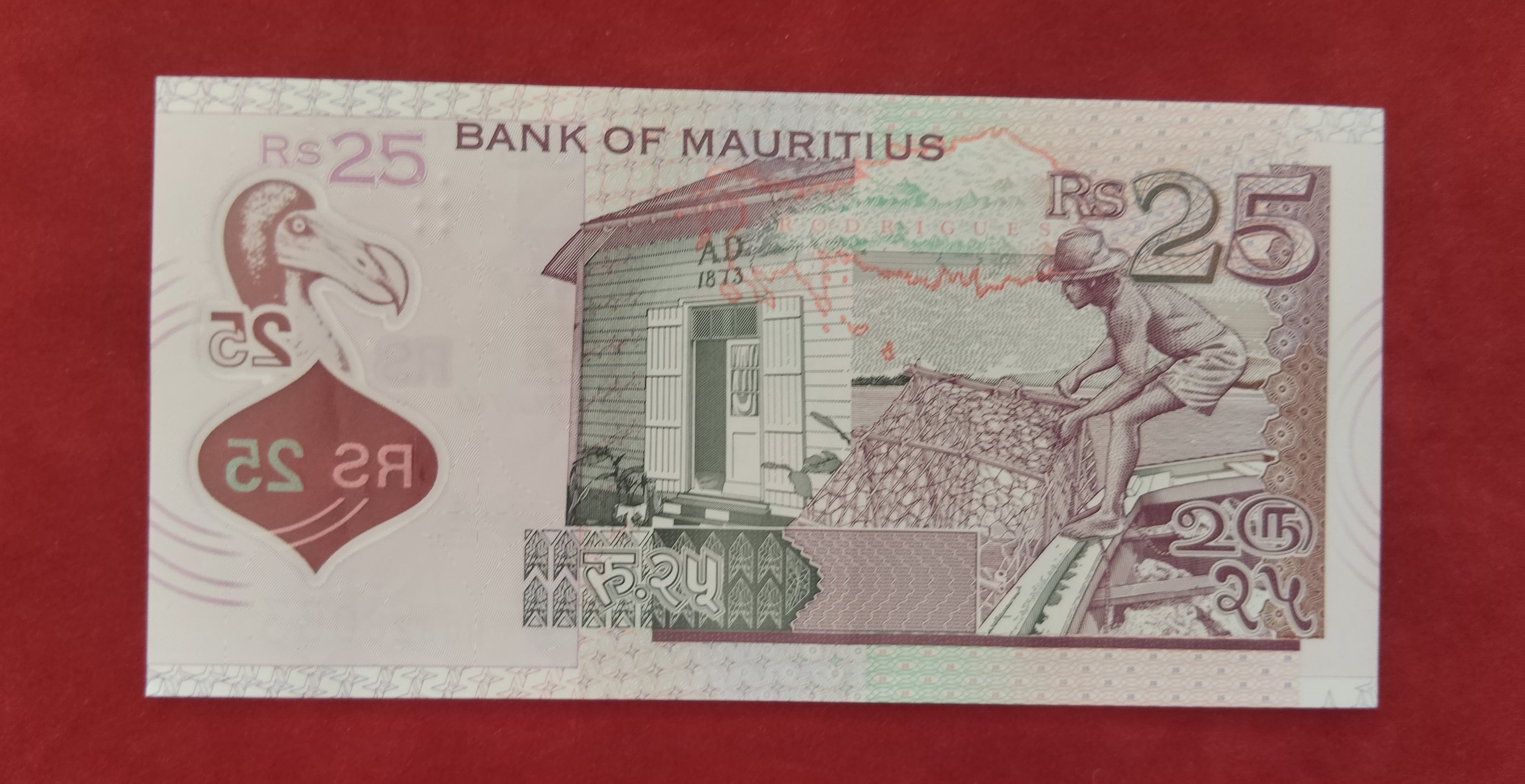 BANK OF MAURITIUS 25 RUPEES (D210)