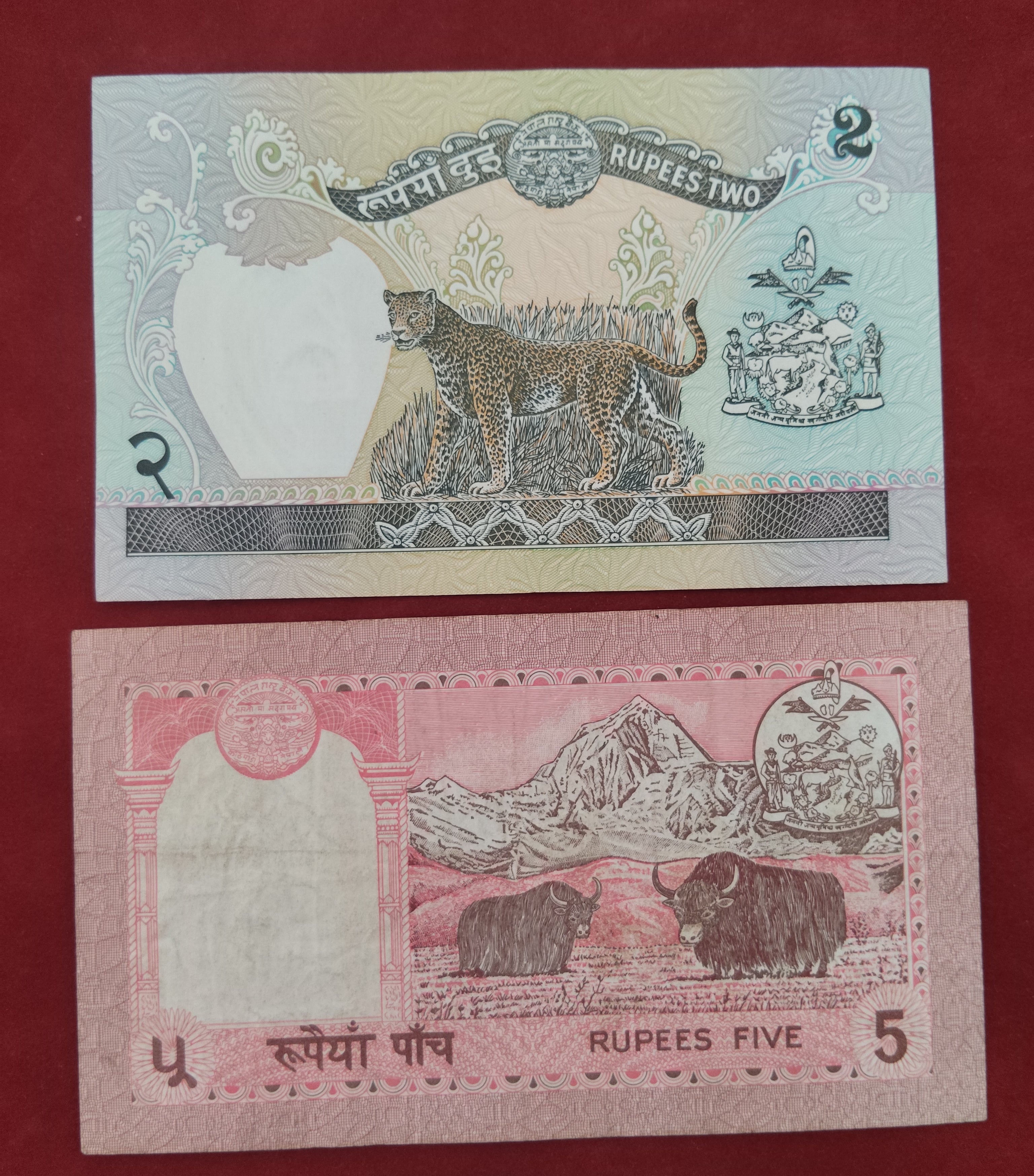 BANK OF NEPAL RASTRA 2 ,5 RUPEES (C488)