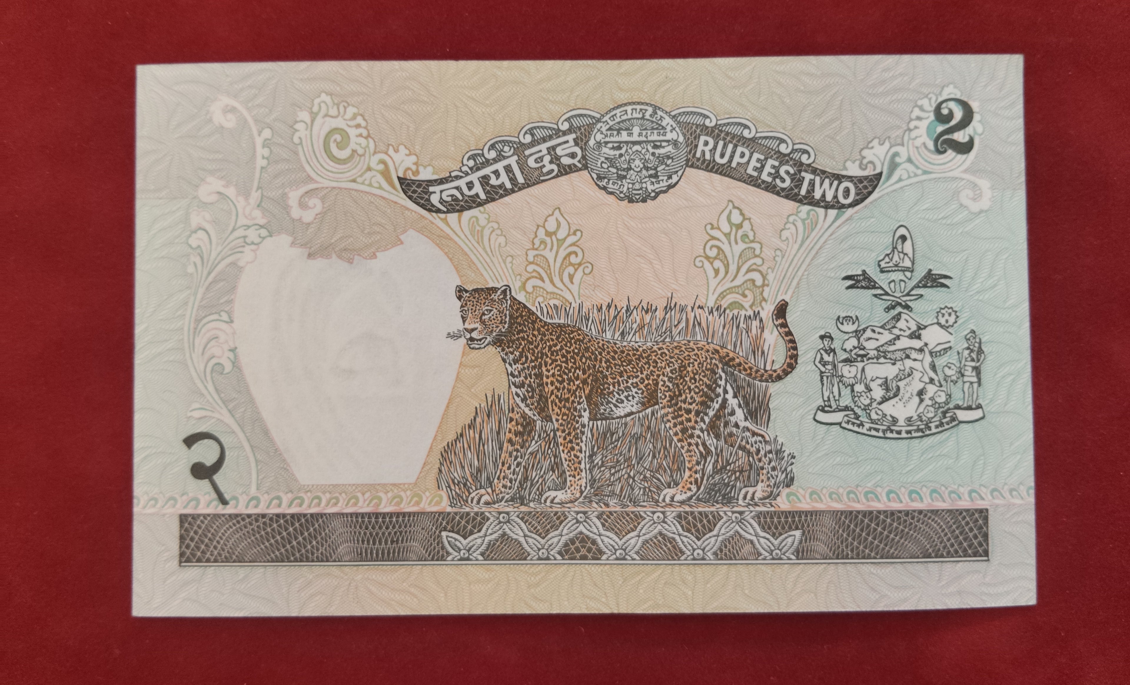 BANK OF NEPAL RASTRA 2 RUPEES (C486)