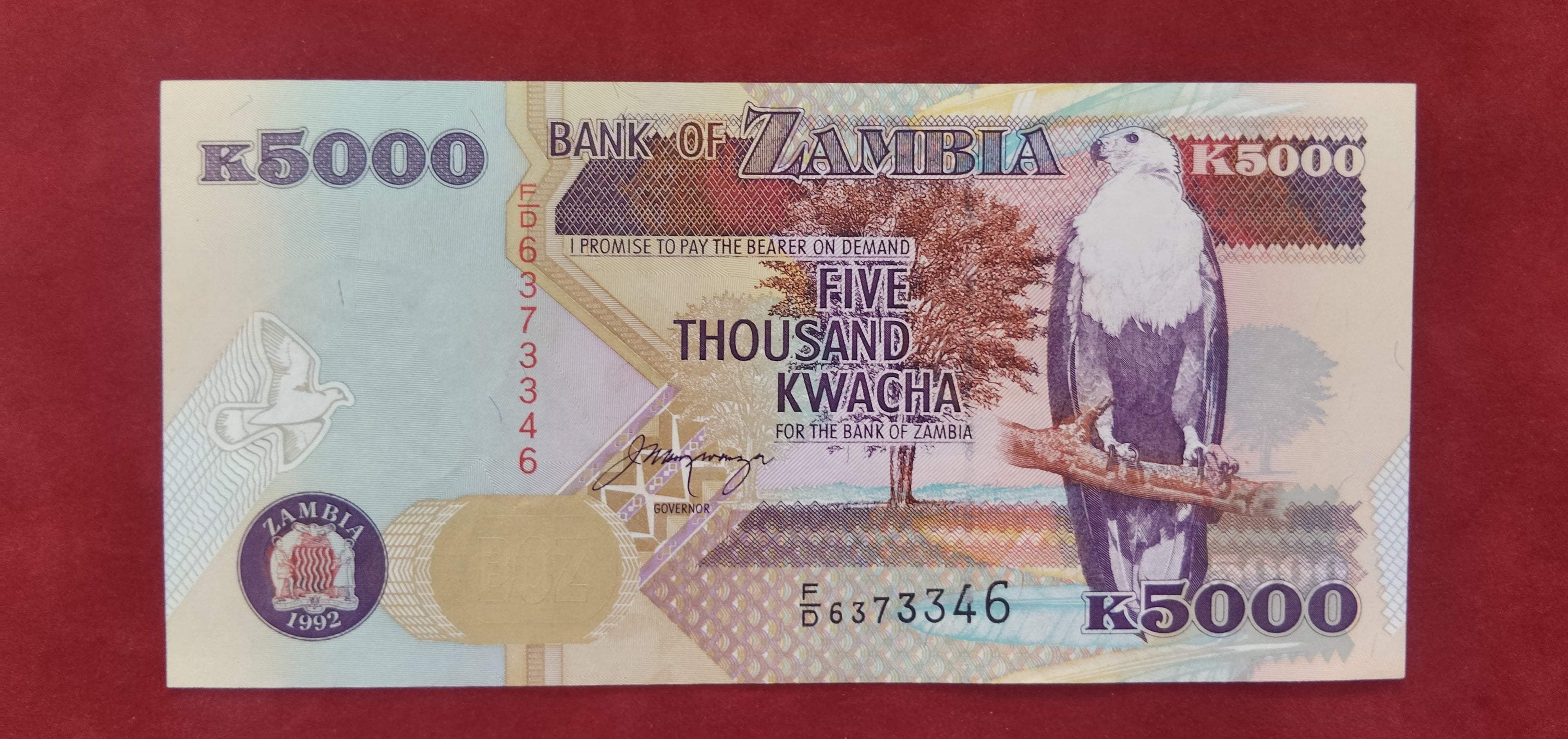 BANK OF ZAMBIA 5000 KWACHA (C475)