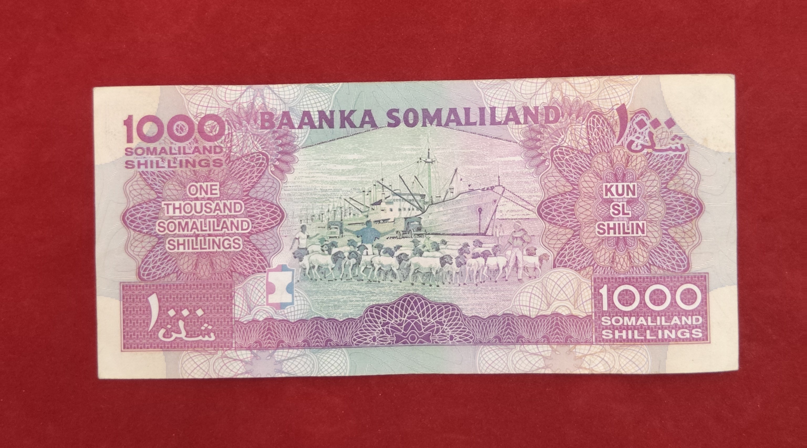 BANK OF SOMALILAND 1000 SHILLINGS (C658)