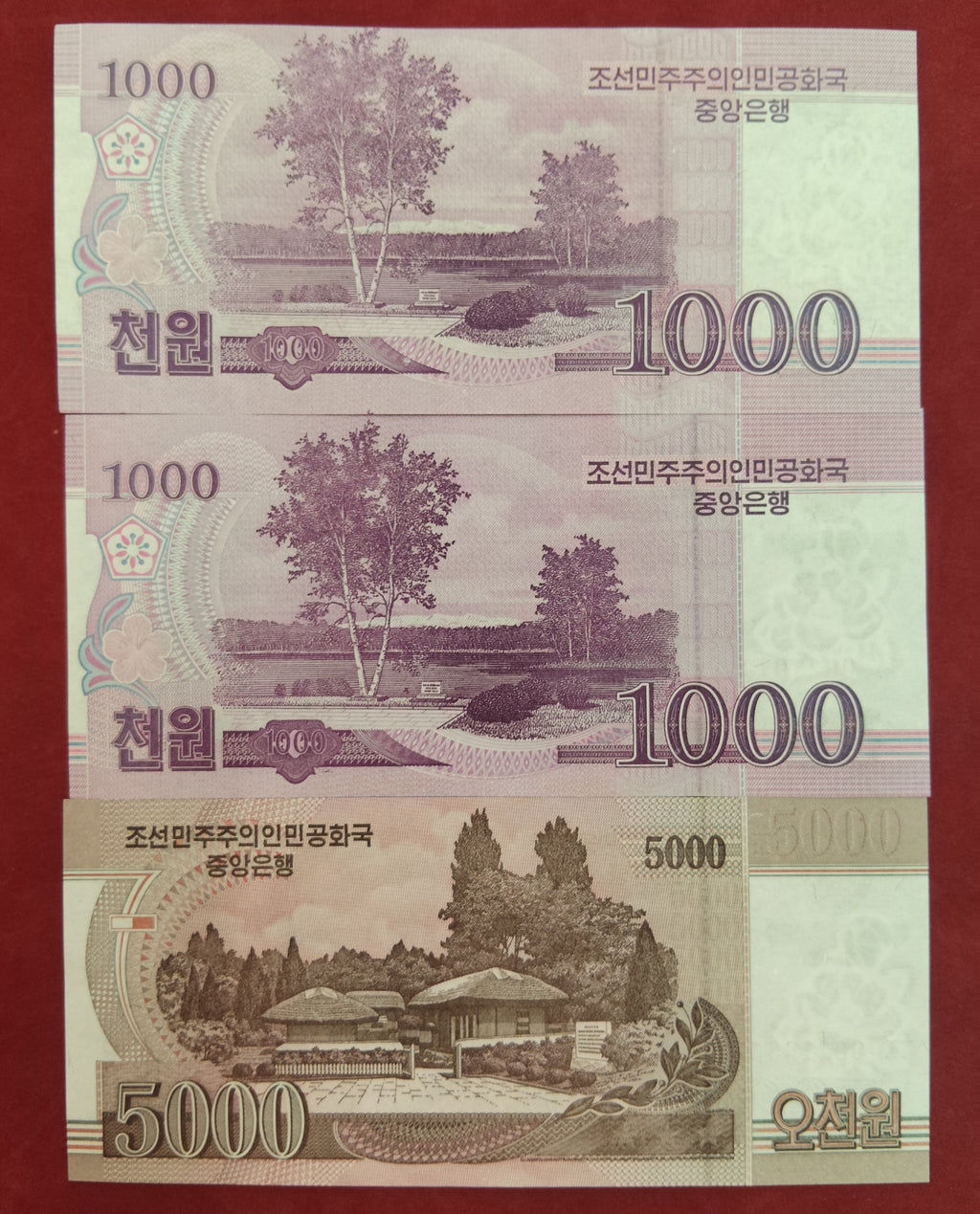 CENTRAL BANK OF NORTH KOREA 1000 ,5000 WON (C225)
