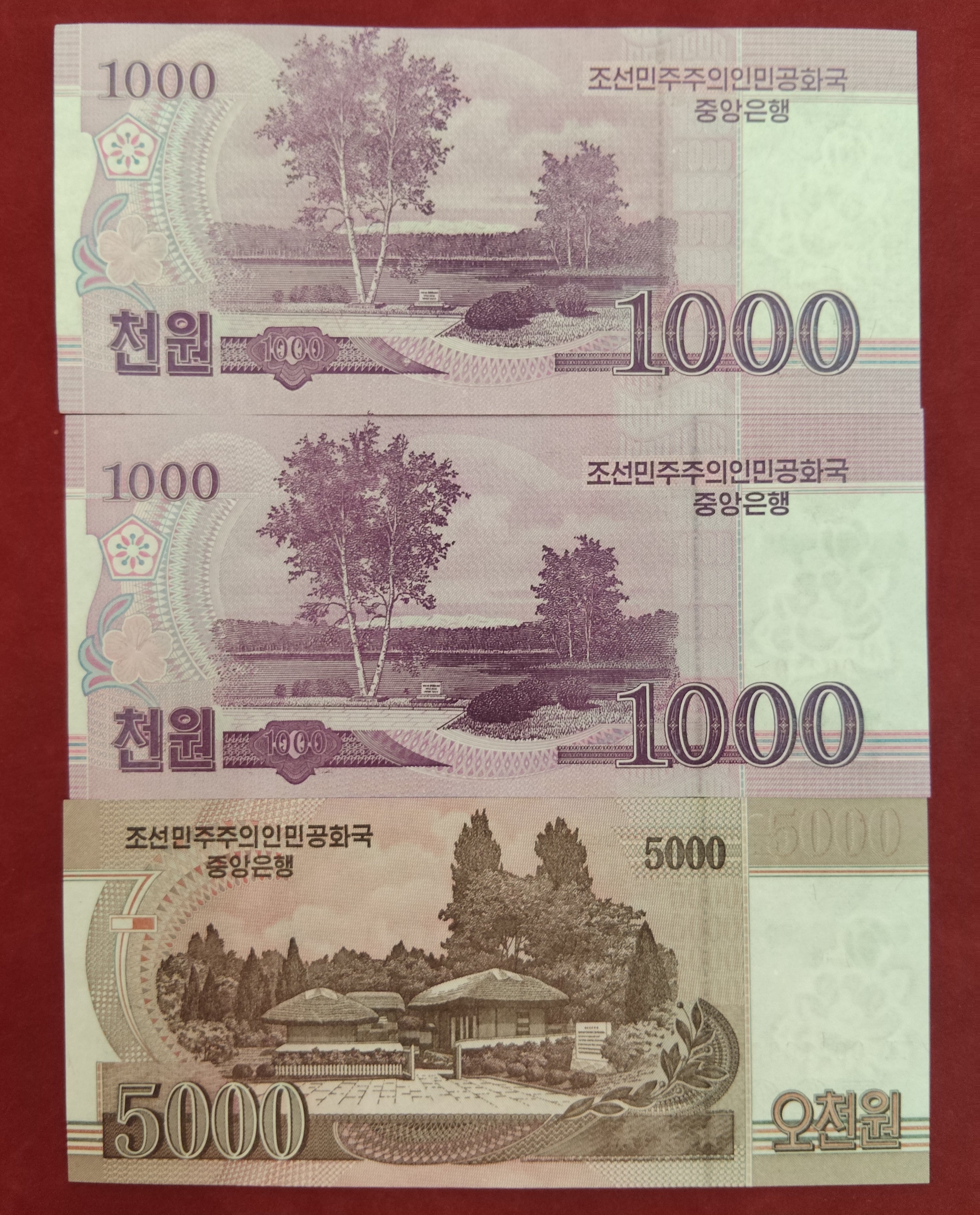 CENTRAL BANK OF NORTH KOREA 1000 ,5000 WON (C225)