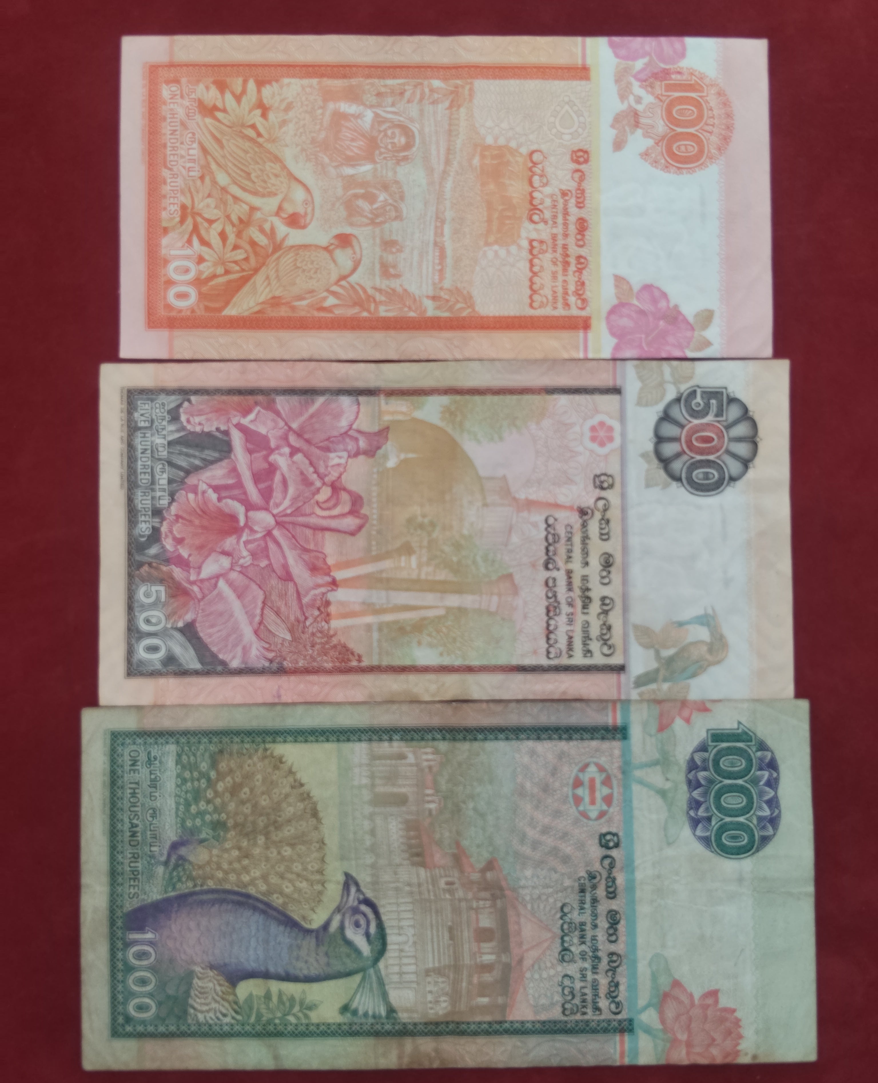 CENTRAL BANK OF SRI LANKA 100 ,500 ,1000 RUPEES (237)