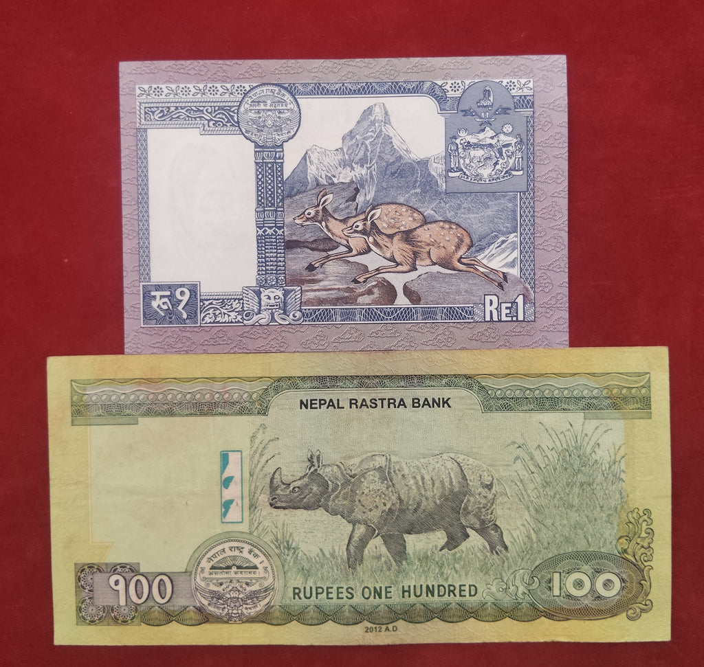 BANK OF NEPAL RASTRA 1 ,100 RUPEES (D953)
