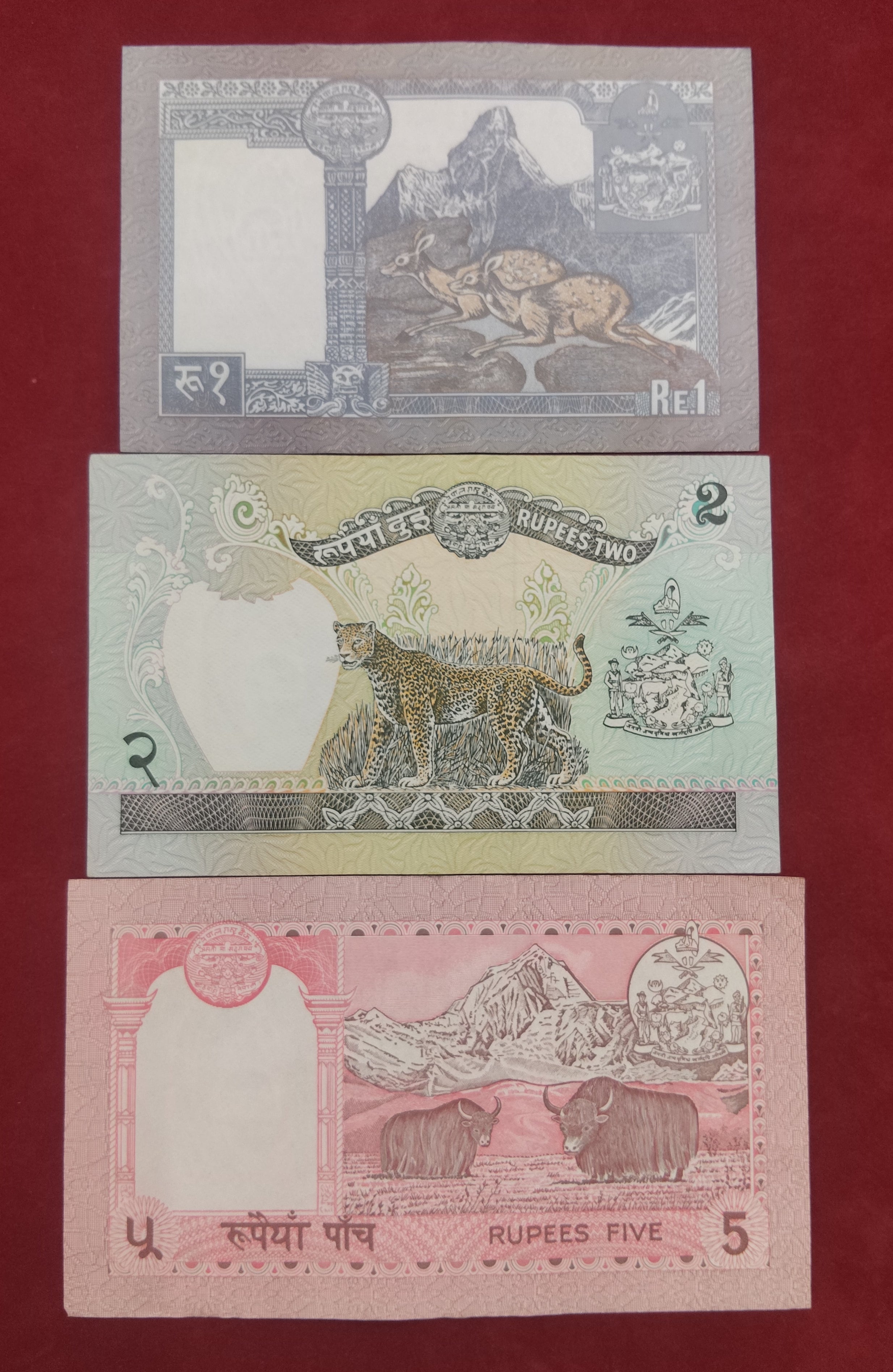 BANK OF NEPAL RASTRA 1 ,2 ,5 ,10 , 20 ,50 RUPEES (D990)