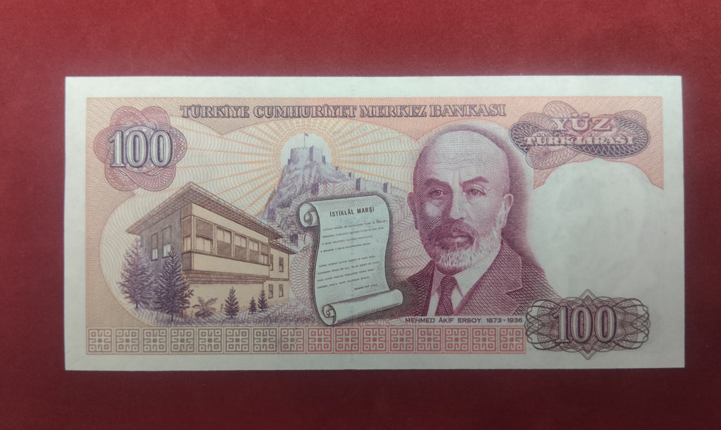BANK OF TURKEY 100 LIRASI (534)