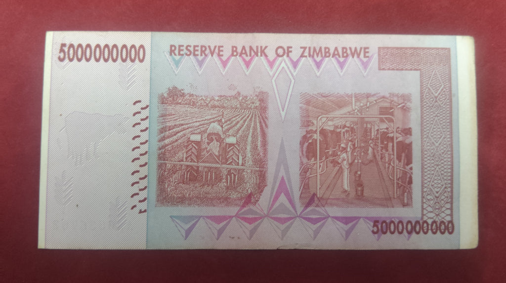 RESERVE BANK OF ZIMBABWE 5000 000 000 DOLLARS (1158)