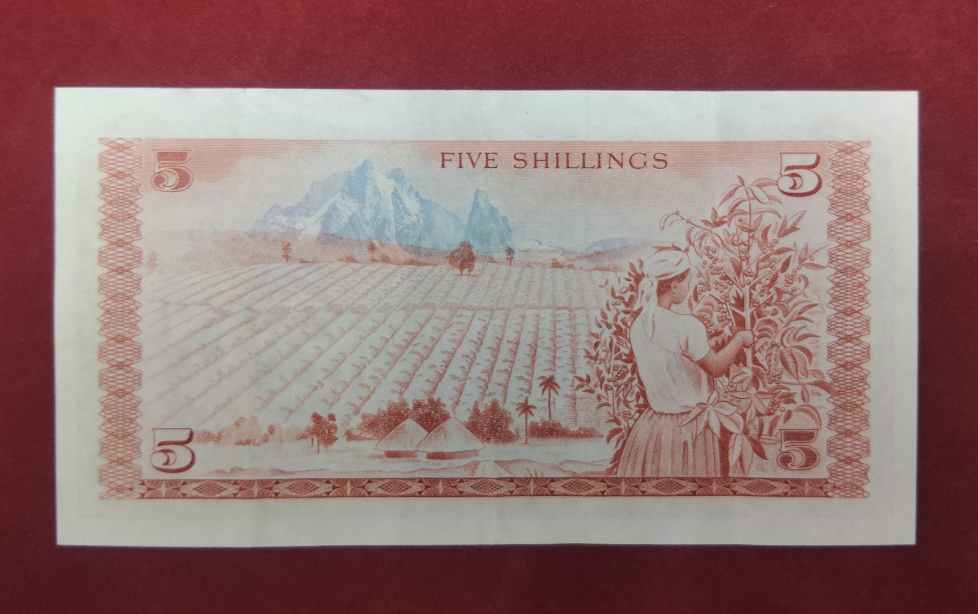 CENTRAL BANK OF KENYA 5 SHILLINGS (790)