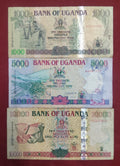 BANK OF UGANDA 1000 ,5000 ,10000 SHILLINGS (D431)