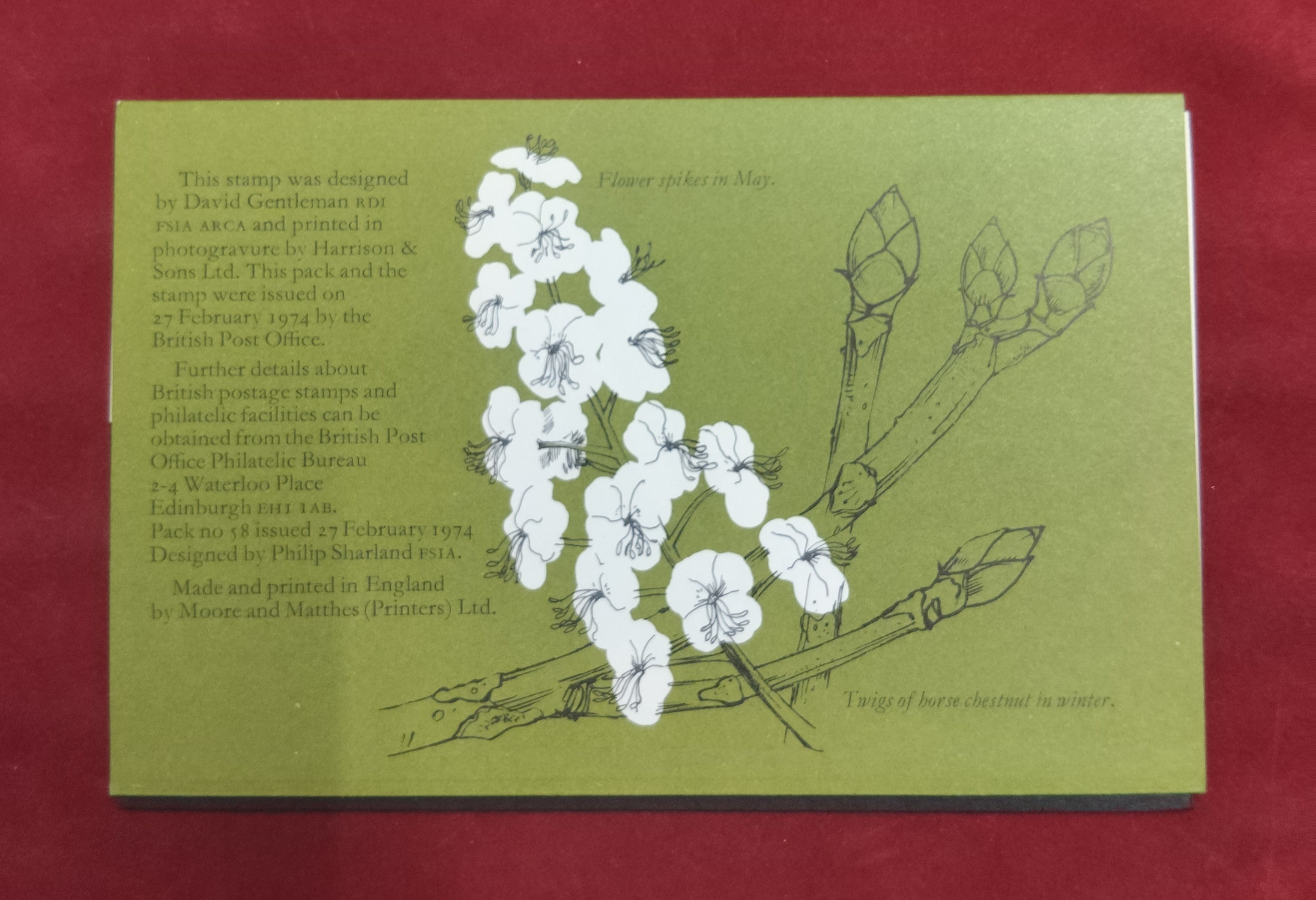 Presentation 1974 - British Trees - Horse Chestnut