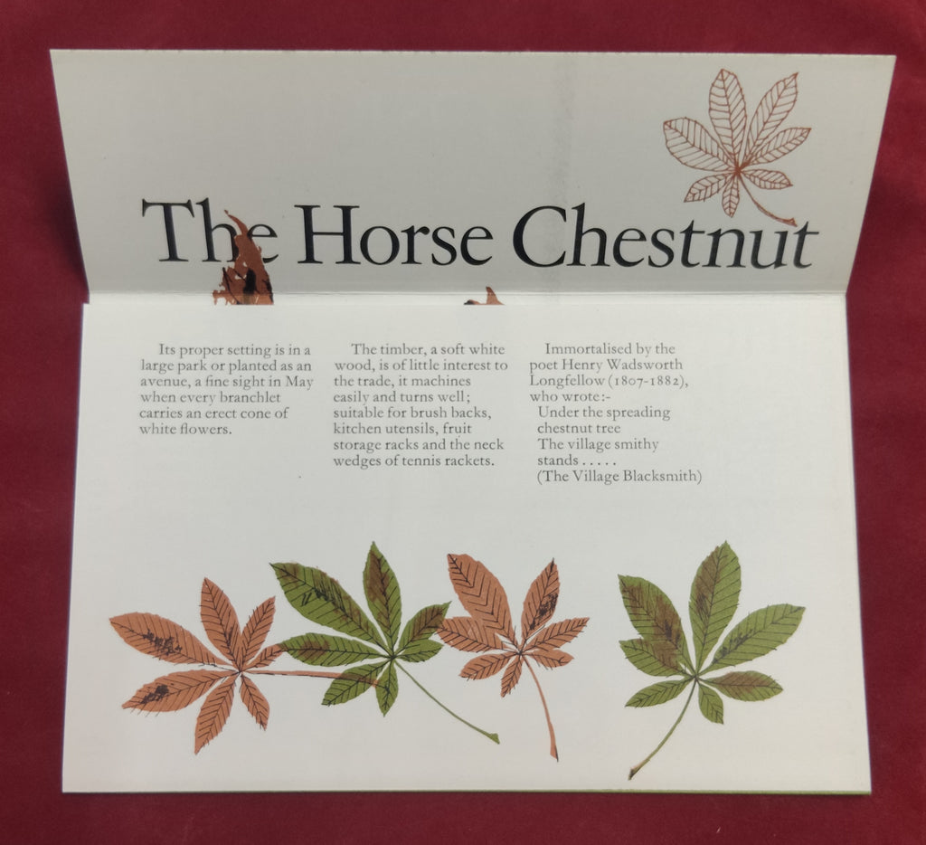 Presentation 1974 - British Trees - Horse Chestnut
