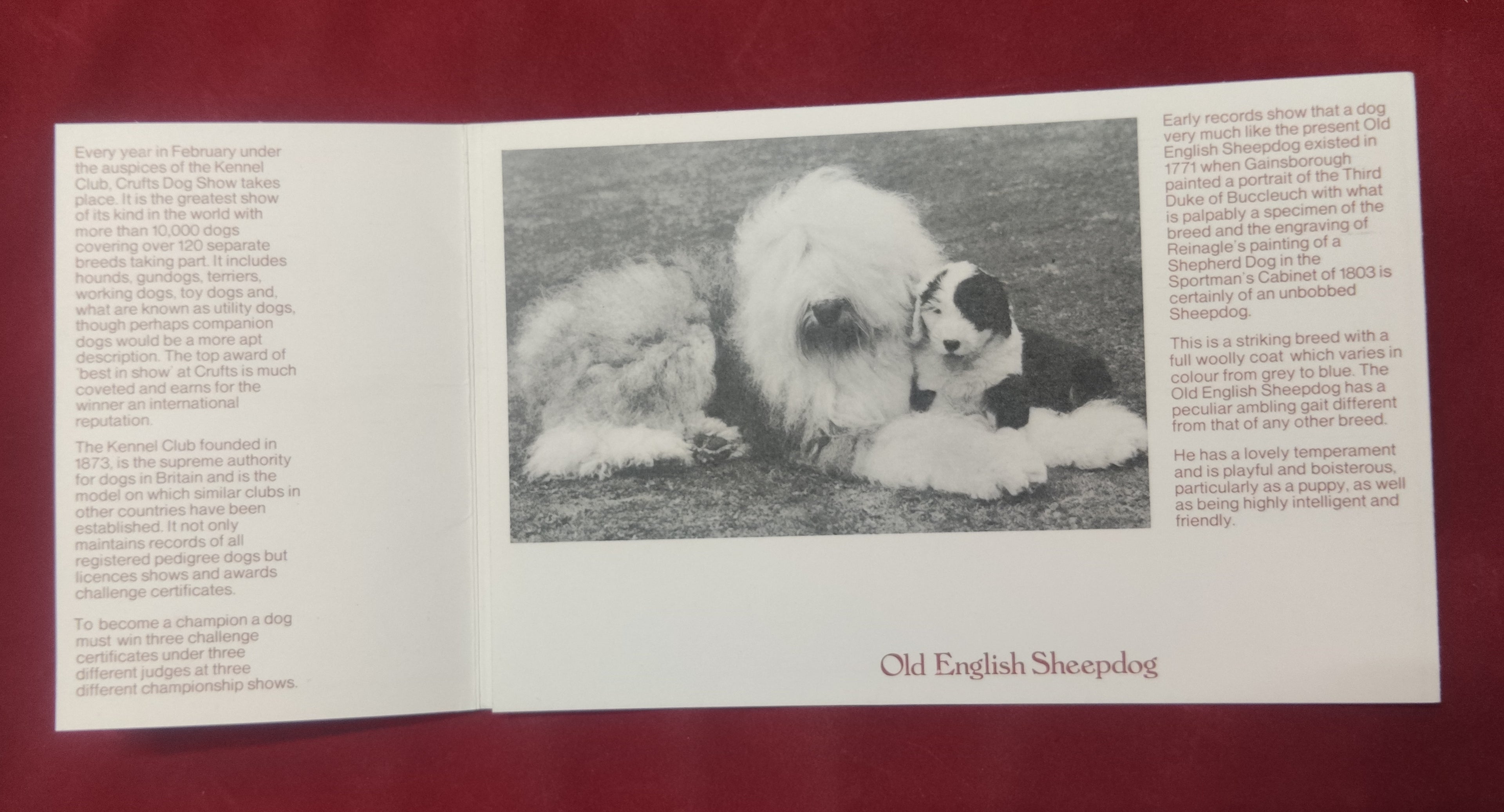 Royal Mail 1979 Presentation